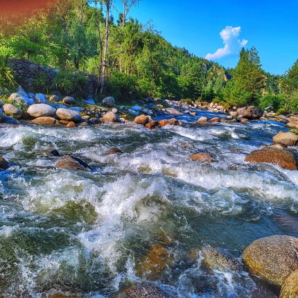 Kashmir & Leh/Ladakh Tour Package