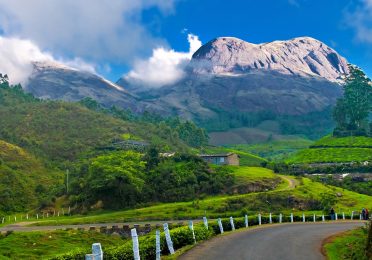 Munnar_hillstation_kerala