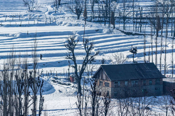 Snow-filled farm villages on the way from Srinagar to Sonmarg, kashmir, India. Snow-filled farm villages on the way from Srinagar to Sonmarg, kashmir, India.