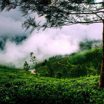 KERALA TOUR PACKAGE