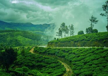KERALA