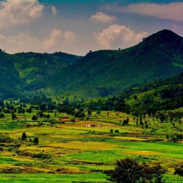 VIZAG ARAKU