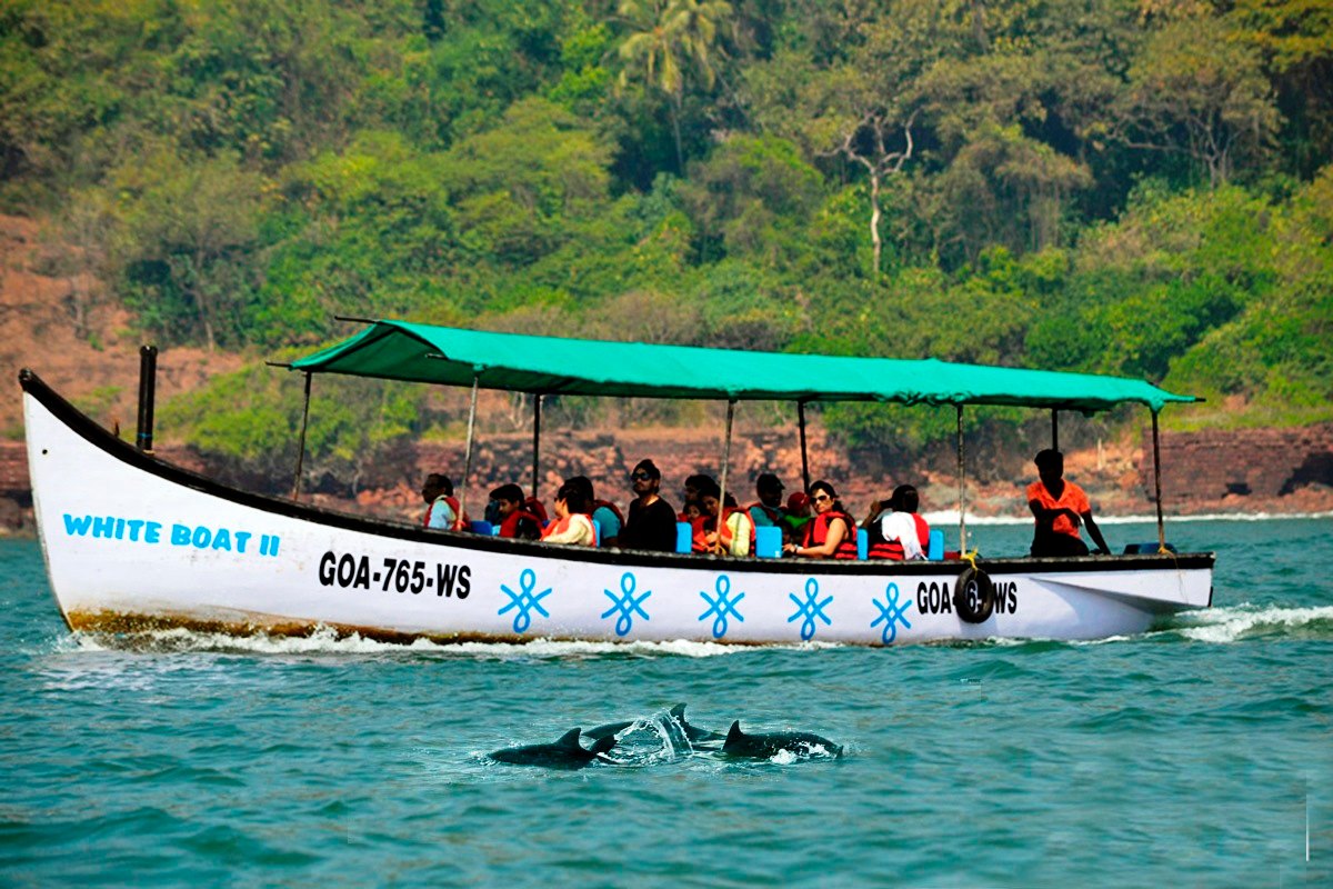 DOLPHIN VIEW AT GOA DOLPHIN VIEW AT GOA