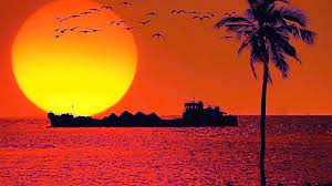 SUN SET SUN SET